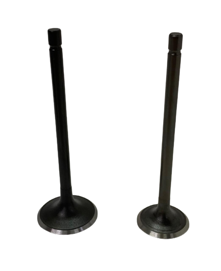 VALVULAS HONDA CG TITAN 150 JGO. W-STANDARD SP06196